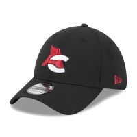 Бейсболка Arizona Cardinals New Era Black City Originals 39THIRTY