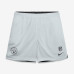 Шорты Pittsburgh Steelers Nike Black/Platinum Sideline Standard Issue Dri-FIT Reversible