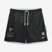 Шорты Atlanta Falcons Nike Black/Platinum Sideline Standard Issue Dri-FIT Reversible