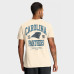 Футболка Carolina Panthers Nike Natural Freestyle Essential