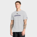 Футболка Baltimore Ravens Nike Ash Velocity Endurance Run Dri-FIT