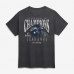 Футболка Seattle Seahawks Fanatics Heather Charcoal Super Bowl LX Champions Prestigious Run 