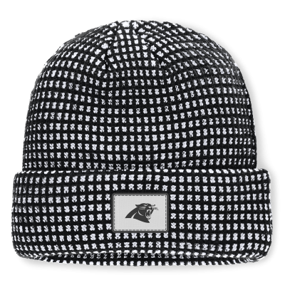 Шапка Carolina Panthers Fanatics Black/White Scheme