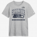 Футболка Seattle Seahawks Nike Heather Gray Super Bowl LX Champions Ice Classic Roster 