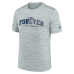Футболка New England Patriots Nike Rivalries Collection Sideline Velocity - Silver