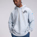 Толстовка Detroit Lions Nike 2026 Rivalries Collection Standard Issue Sideline - Silver