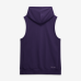 Толстовка Minnesota Vikings Nike 2026 Rivalries Collection Sideline Sleeveless Fleece - Purple