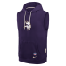 Толстовка Minnesota Vikings Nike 2026 Rivalries Collection Sideline Sleeveless Fleece - Purple