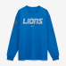 Футболка с длинным рукавом Detroit Lions Nike 2026 Rivalries Collection Max90 - Blue