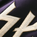 Куртка Minnesota Vikings Nike 2026 Rivalries Collection Varsity - Purple