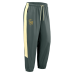 Штаны Green Bay Packers Nike 2026 Rivalries Collection Windrunner - Green