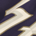 Футболка с длинным рукавом Minnesota Vikings Nike 2026 Rivalries Collection Max90 - Purple