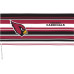 Термос Arizona Cardinals Tervis 16oz. Hype Stripes Classic