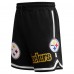 Шорты Pittsburgh Steelers Pro Standard Black Classic Chenille