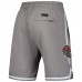 Шорты Tampa Bay Buccaneers Pro Standard Classic Chenille - Gray