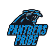 Значок Carolina Panthers WinCraft Slogan Значок Carolina Panthers WinCraft Slogan