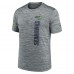 Футболка Seattle Seahawks Nike 2024 Sideline Velocity Performance - Gray