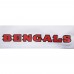 Шорты Cincinnati Bengals Pro Standard Classic Chenille Double Knit - White