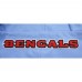 Толстовка на молнии Cincinnati Bengals Pro Standard Classic Chenille Double Knit - White