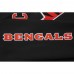 Кофта Cincinnati Bengals Pro Standard Classic Fleece - Black