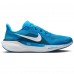 Unisex Carolina Panthers Nike Blue Zoom Pegasus 41 Running Shoes