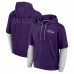 Толстовка Baltimore Ravens Unisex  Sleek Elements - Purple