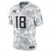 Игровая джерси Justin Jefferson Minnesota Vikings Nike 2024 Salute to Service Limited - Arctic Camo