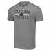 Футболка Carolina Panthers Starter Mesh Team Graphic - Heather Gray