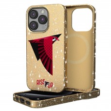 Atlanta Falcons Keyscaper Gold 2024 Illustrated Limited Edition Bling iPhone Case
