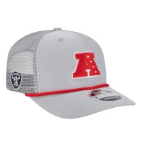 Бейсболка Las Vegas Raiders New Era Gray 2025 Pro Bowl 9SEVENTY Stretch-Snap
