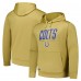Indianapolis Colts Gold Top Ranked Pullover Hoodie
