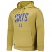 Indianapolis Colts Gold Top Ranked Pullover Hoodie