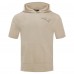 New England Patriots Pro Standard Tan Neutrals Capsule Short Sleeve Pullover Hoodie