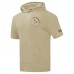 Pittsburgh Steelers Pro Standard Tan Neutrals Capsule Short Sleeve Pullover Hoodie