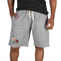 Arizona Cardinals Concepts Sport Gray Mainstream Tri-Blend Shorts