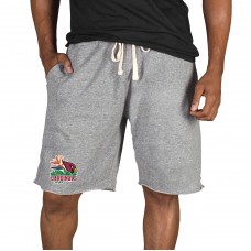 Arizona Cardinals Concepts Sport Gray Mainstream Tri-Blend Shorts