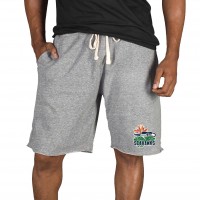 Seattle Seahawks Concepts Sport Gray Mainstream Tri-Blend Shorts