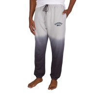 Seattle Seahawks Concepts Sport Gray/Charcoal Dusk Dip Dye Lightweight French Terry Lounge Pants