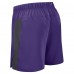Minnesota Vikings Nike Purple Woven Victory Dri-FIT Shorts