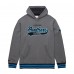 Толстовка Carolina Panthers Mitchell & Ness Heather Gray Vintage Logo Snow Washed Fleece