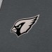 Arizona Cardinals Antigua Charcoal Brushed Carbon Victory Pullover Hoodie