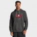 Толстовка Tampa Bay Buccaneers Nike Pewter Sideline Standard Issue Initial Home Dri-FIT