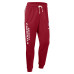 Штаны Arizona Cardinals Nike Cardinal Sideline Standard Issue Ground Game Dri-FIT Taper