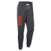 Cleveland Browns Nike Anthracite Sideline Standard Issue Ground Game Dri-FIT Taper Pants
