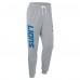 Detroit Lions Nike Gray Sideline Standard Issue Ground Game Dri-FIT Taper Pants