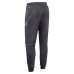 Штаны Chicago Bears Nike Anthracite Sideline Standard Issue Ground Game Dri-FIT Taper