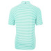 Поло Carolina Panthers Cutter & Buck Green Virtue Eco Pique Stripe Recycled
