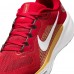 Unisex San Francisco 49ers Nike Scarlet Air Zoom Pegasus 41 Sneakers