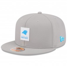 Бейсболка Carolina Panthers New Era Gray 2025 Sideline 59FIFTY