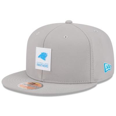 Бейсболка Carolina Panthers New Era Gray 2025 Sideline 59FIFTY